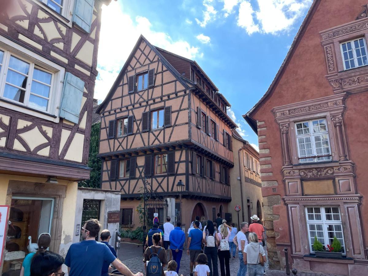 Rive Petite Venise Appartement Luxe - Centre Ville Colmar - Clim, Ascenseur & Possibilite Parking Zewnętrze zdjęcie